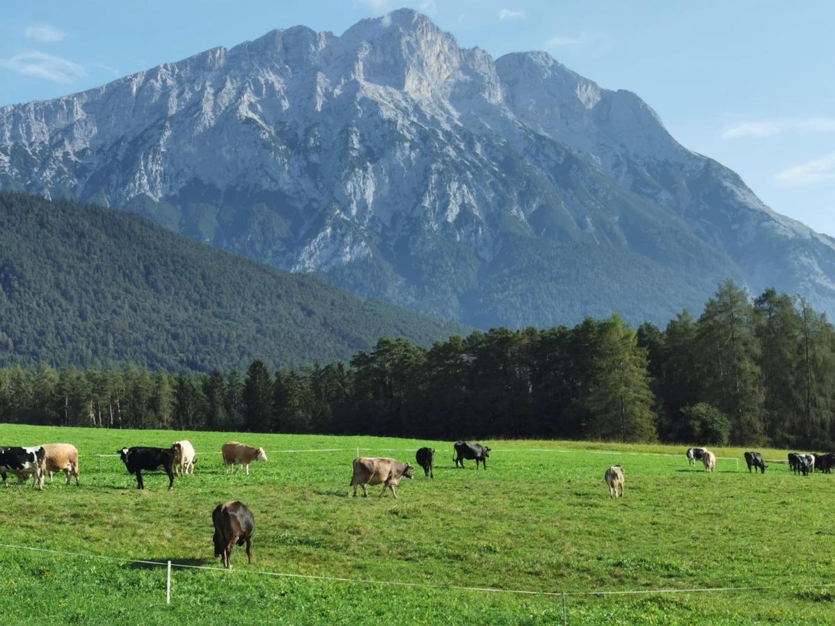 Zauscherhof Wildermieming Экстерьер фото