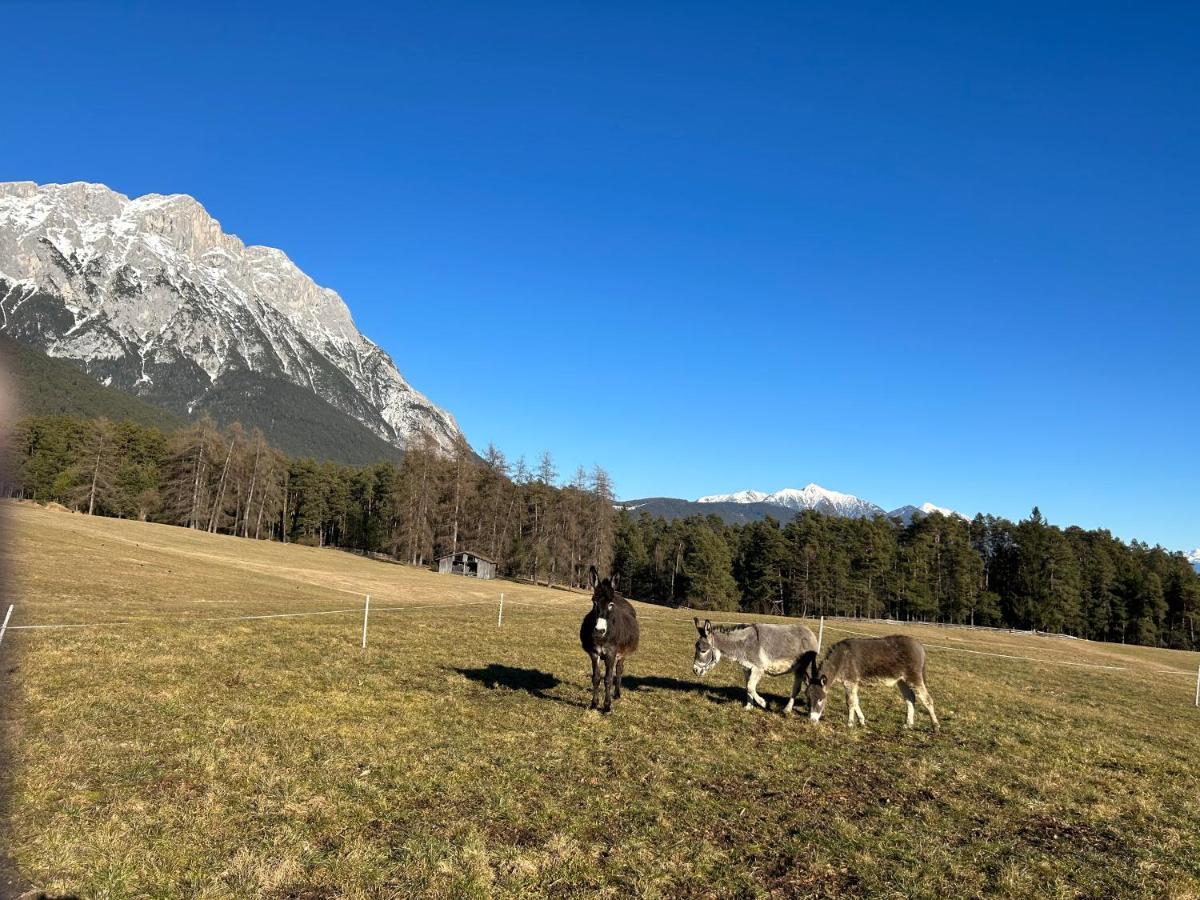Zauscherhof Wildermieming Экстерьер фото