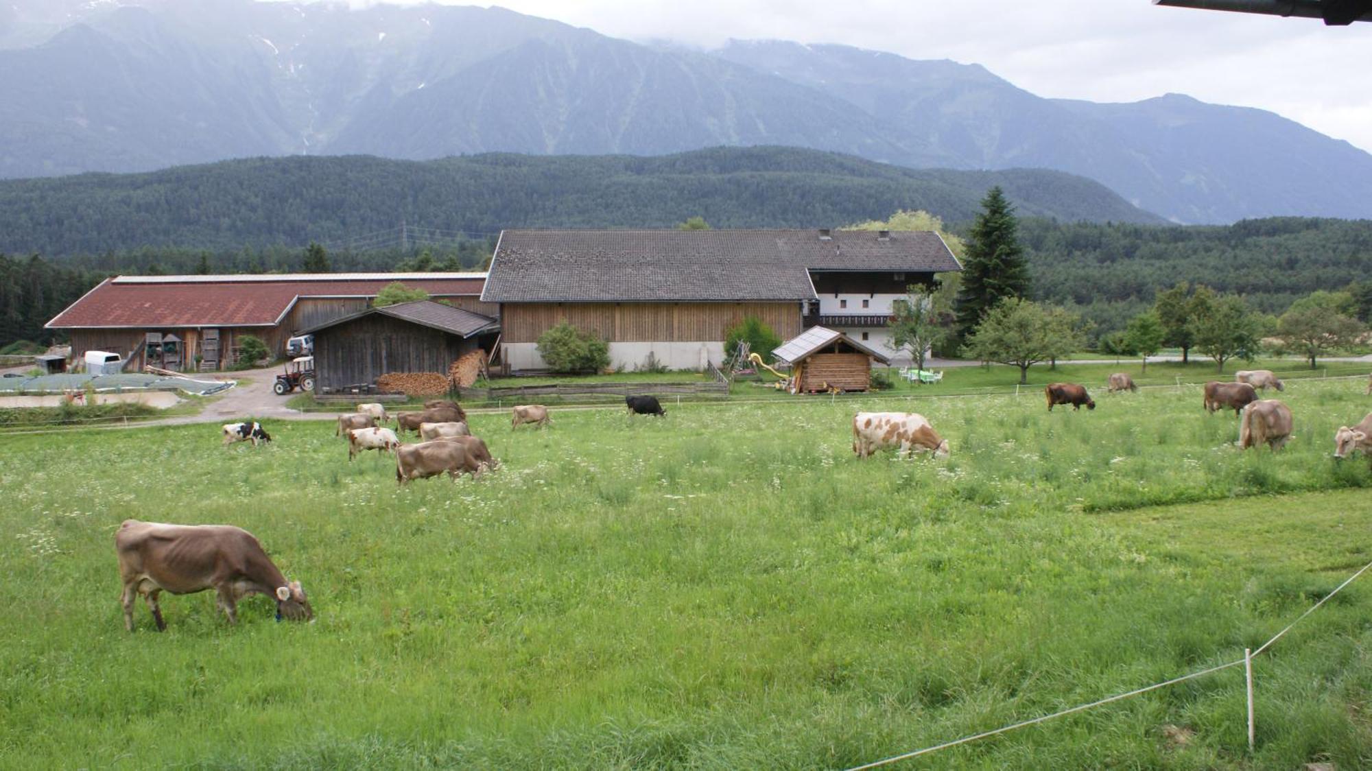 Zauscherhof Wildermieming Экстерьер фото