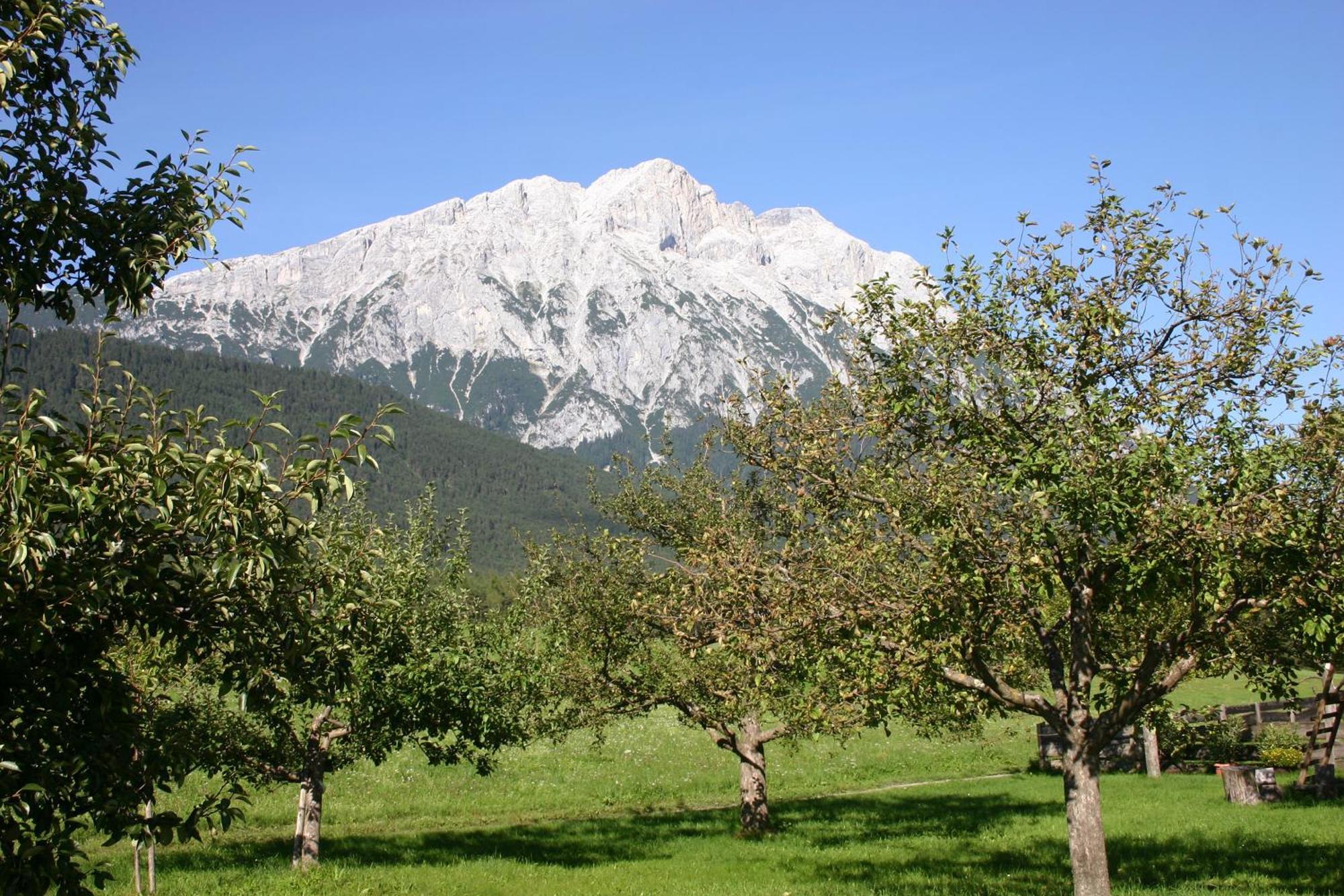 Zauscherhof Wildermieming Экстерьер фото